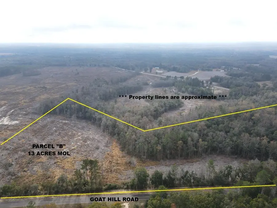 13 Acres Goat Hill Rd., Samson, AL 36477 - Image #2
