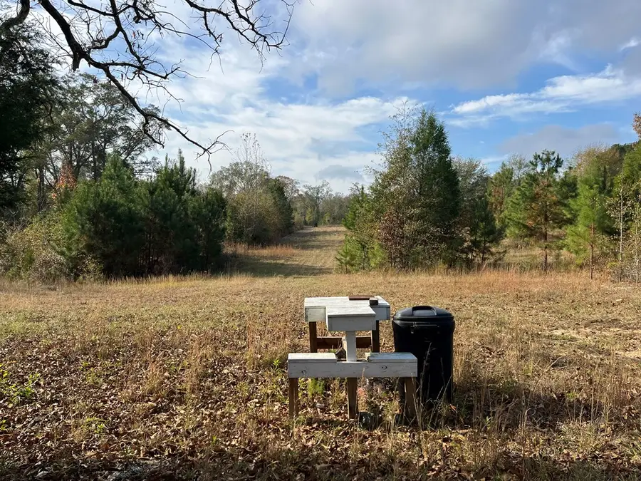 13962 Alabama Highway 95 North, Abbeville, AL 36310 - Image #3