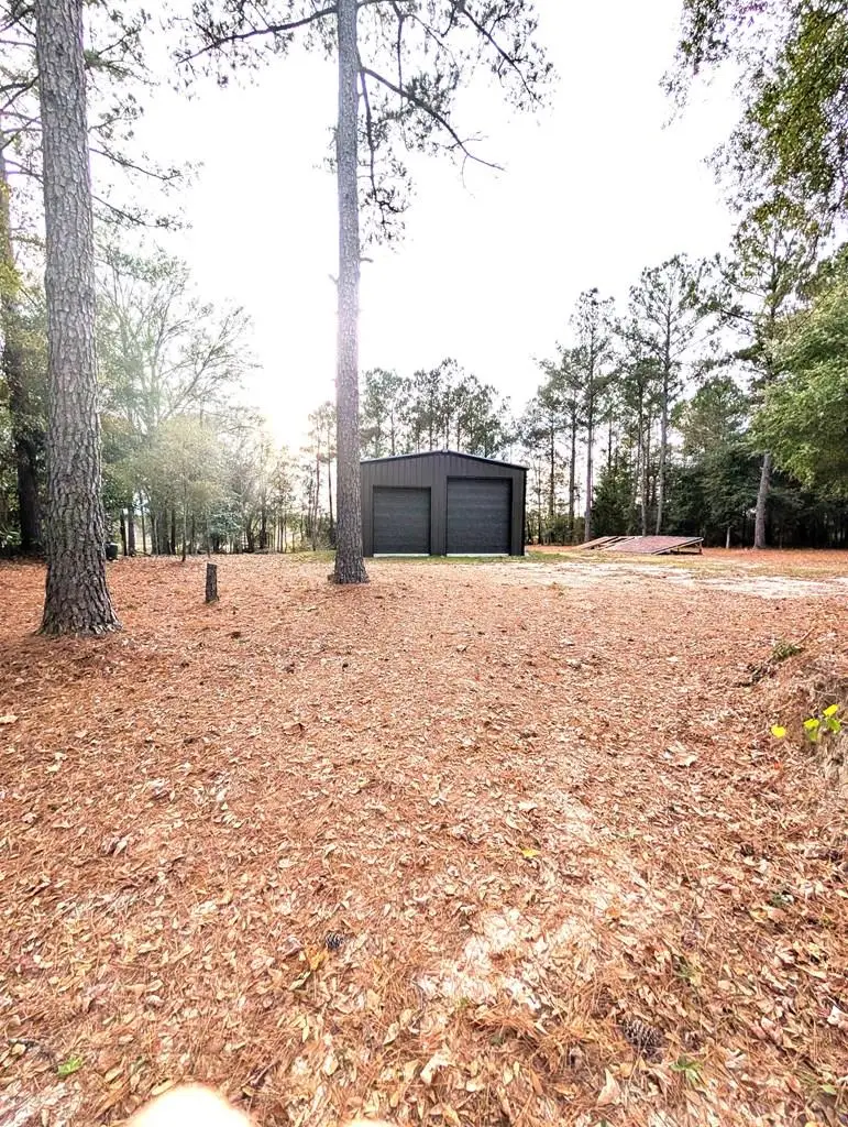 100 Womack Road, Cottonwood, AL 36320 - Image #1