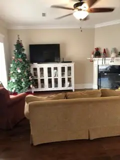 248 Princeton Drive, Dothan, AL 36301 - Image #3