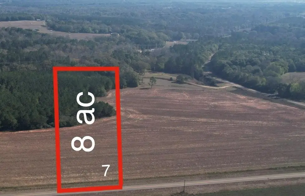 LOT 7 County Rd 238, Headland, AL 36345 - Image #1