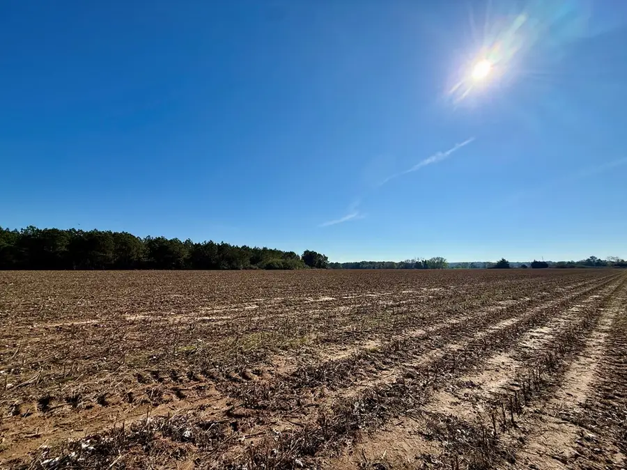 LOT 1 County Rd 238, Headland, AL 36345 - Image #3
