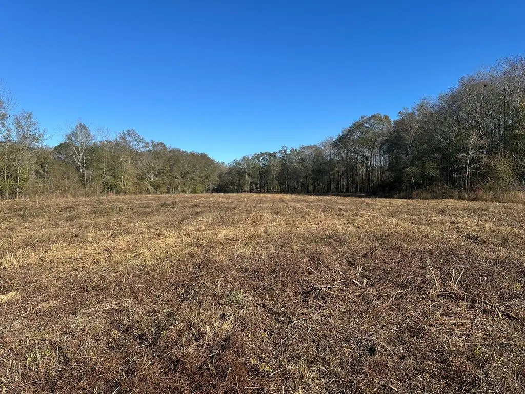 0 New Hinson Road, Slocomb, AL 36375 - Image #1