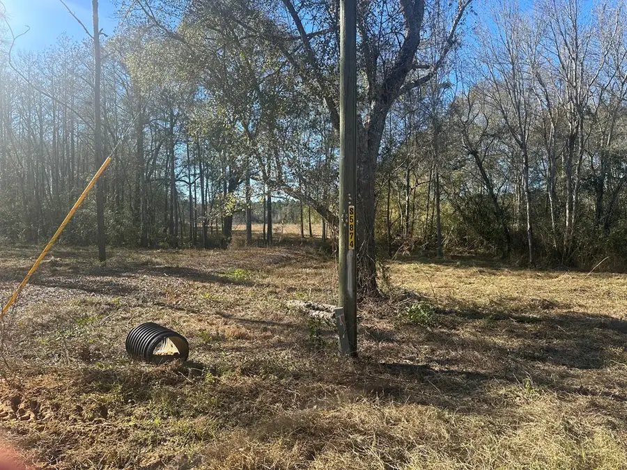 0 New Hinson Road, Slocomb, AL 36375 - Image #3