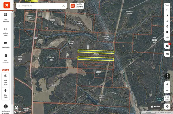 TBD County Road 99, Abbeville, AL 36310