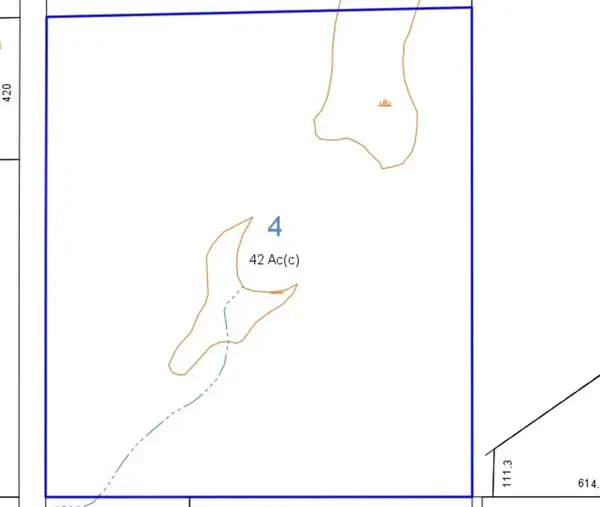 40.33 ac County Road 65, Samson, AL 36477