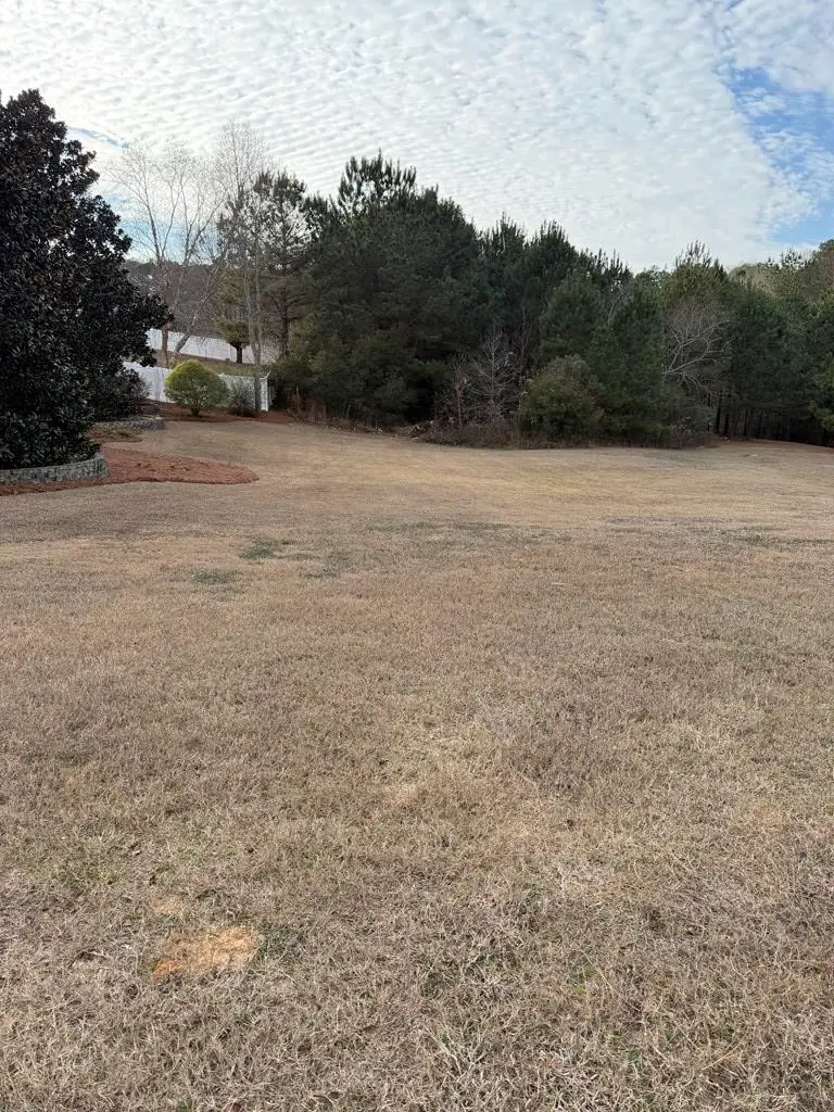 0.85 ac County Road 164, Enterprise, AL 36330 - Image #1