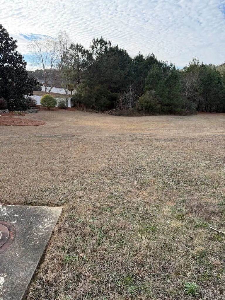 0.85 ac County Road 164, Enterprise, AL 36330 - Image #2