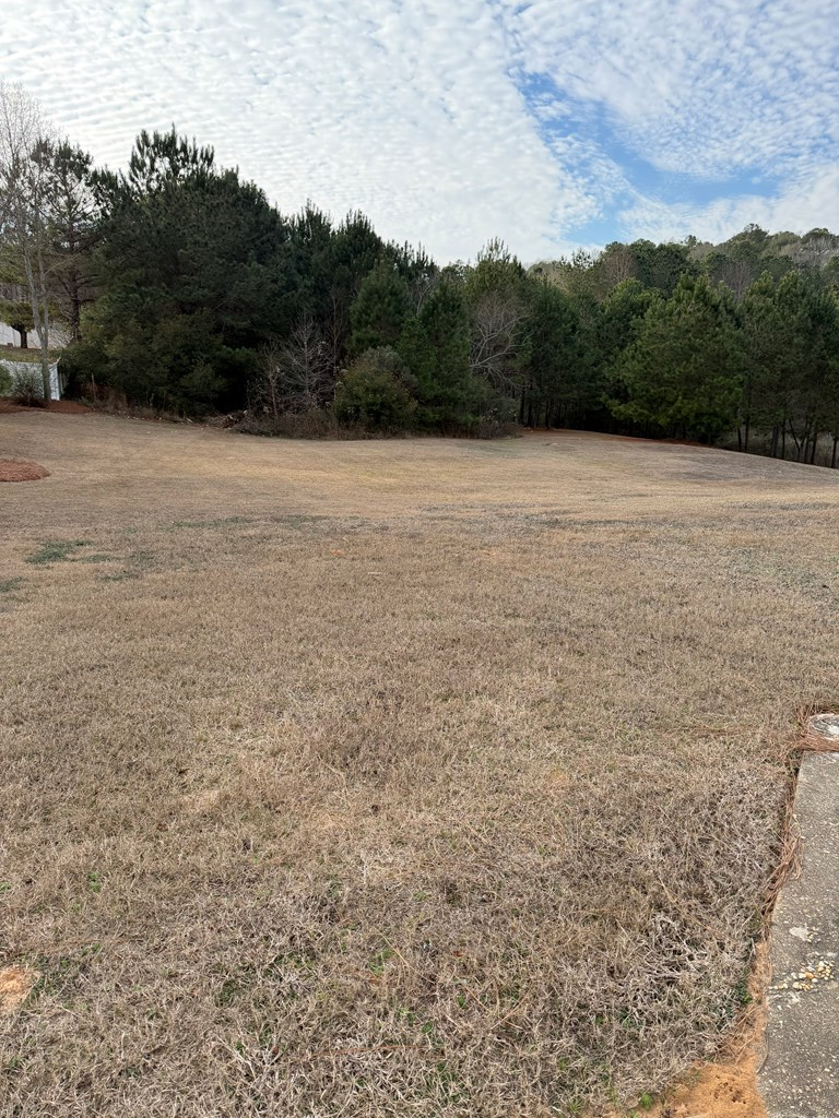 0.85 ac County Road 164, Enterprise, AL 36330 - Image #3