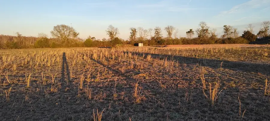 1285 S County Road 49, Malvern, AL 36349 - Image #2