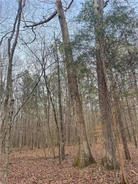 167 Cox Street, Rainbow City, AL 35906 - Image #3