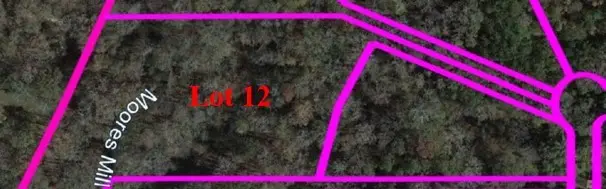 12 Kentwood Drive, Auburn, AL 36830 - #1