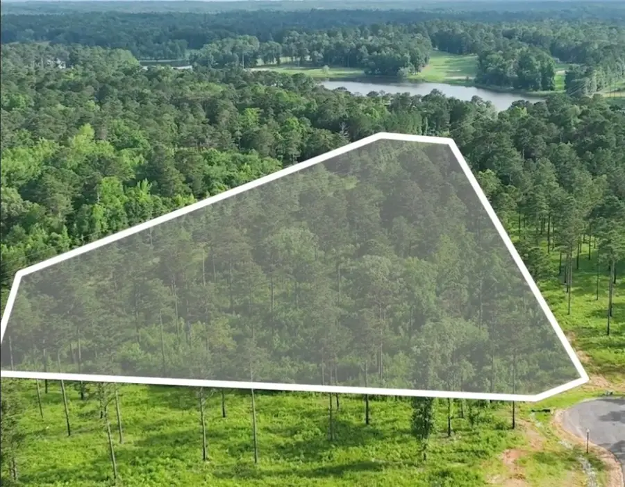 2105 Mourning Dove Lane, Opelika, AL 36801 - Image #2