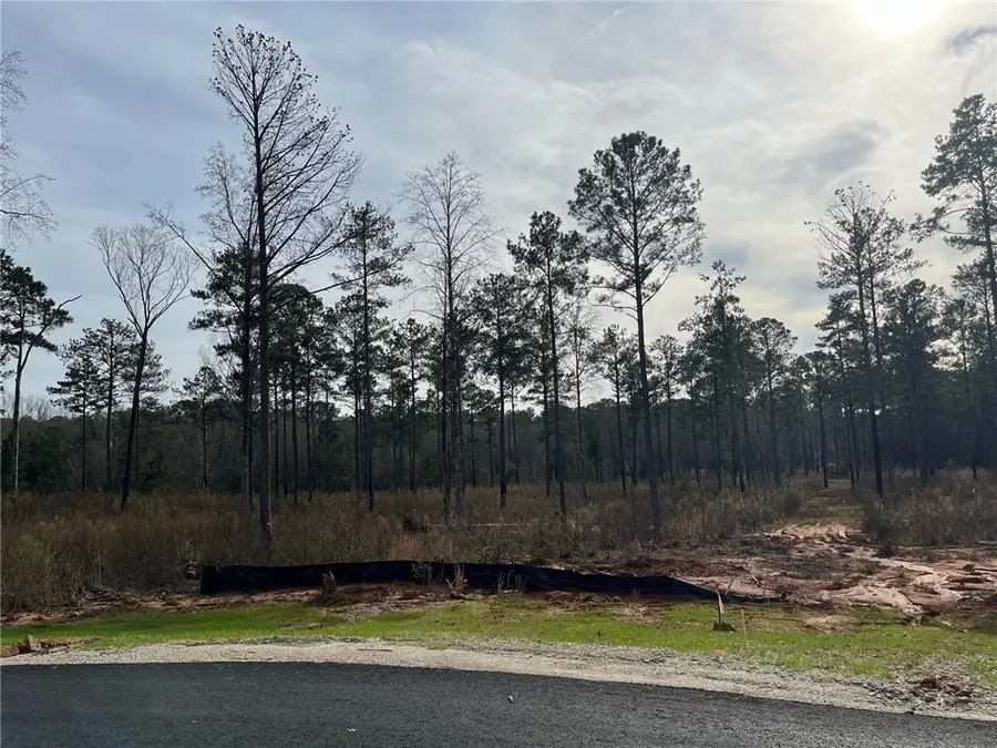 2105 Mourning Dove Lane, Opelika, AL 36801 - Image #3