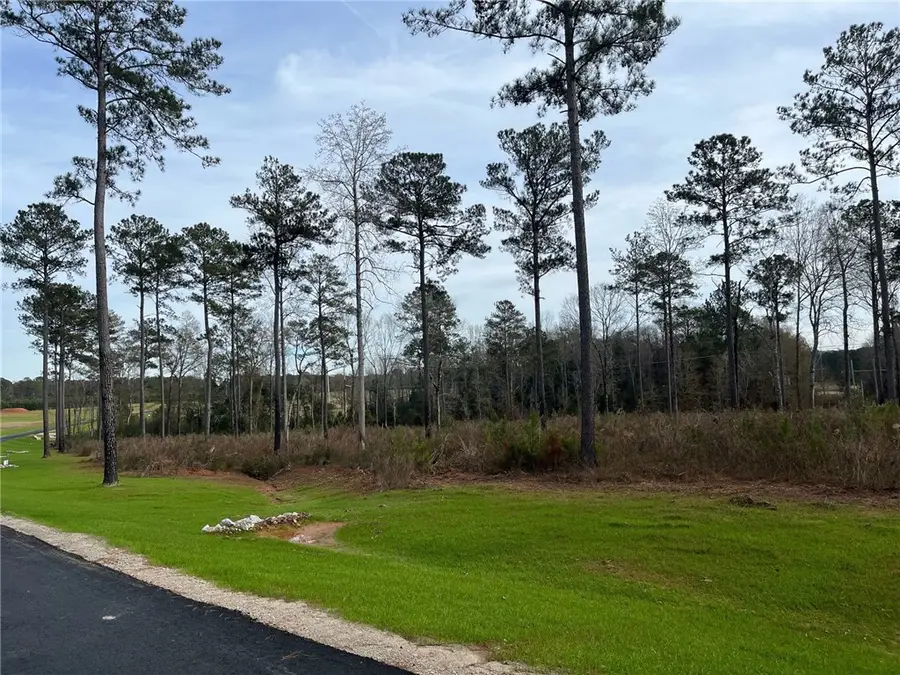 2065 Mourning Dove Lane, Opelika, AL 36801 - Image #3