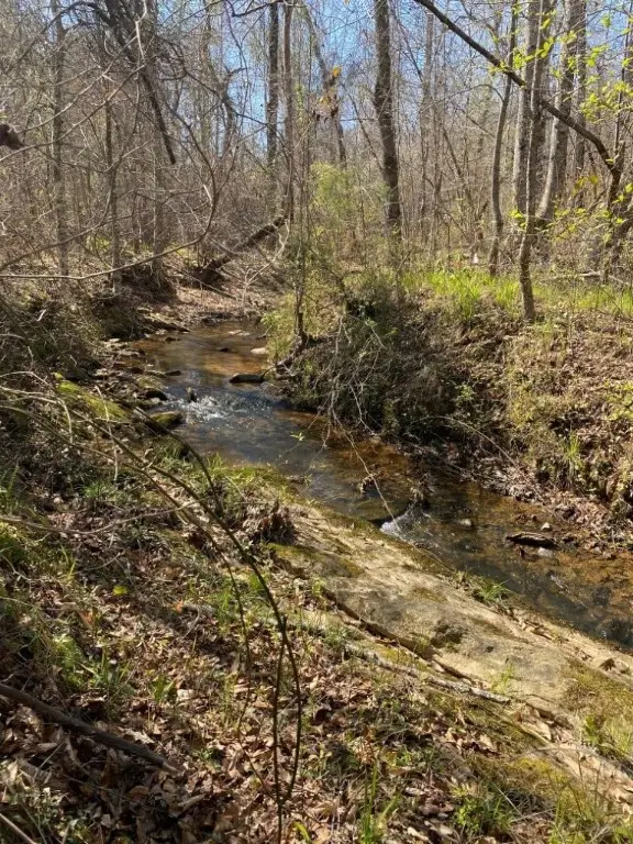 0 Lee Road 391, Opelika, AL 36804 - Image #2