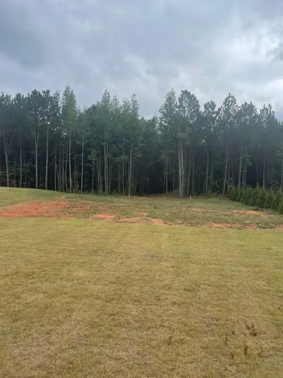 Lot 2A-1 Lee Road 155, Salem, AL 36874 - Image #1