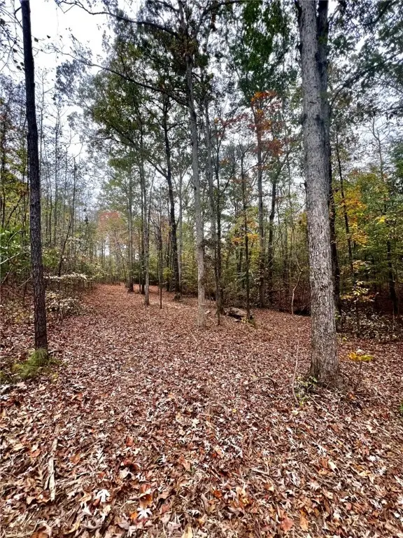 10684 Highway 22, New Site, AL 36256 - Image #2