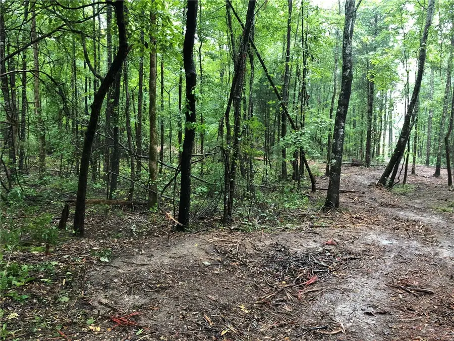 Lot 7 Lee Road 39, Beauregard Marvyn, AL 36804 - Image #3