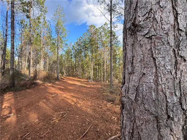 0 County Road 278, Five Points, AL 36855