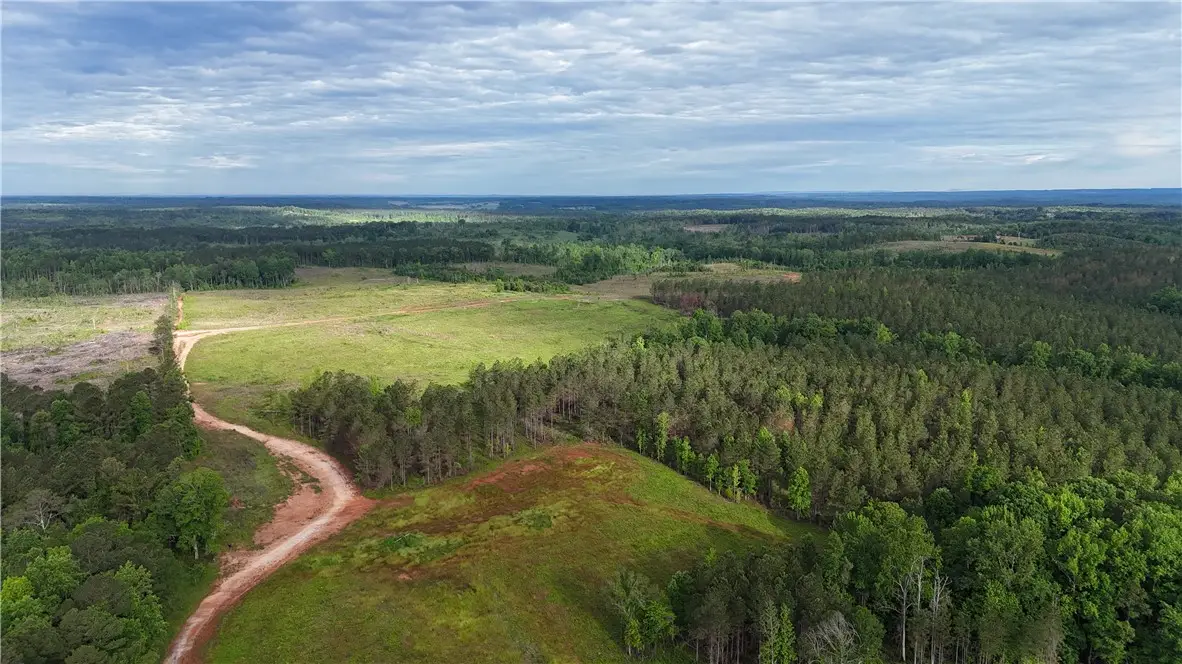 0 County Road 278, Five Points, AL 36855 - Image #1