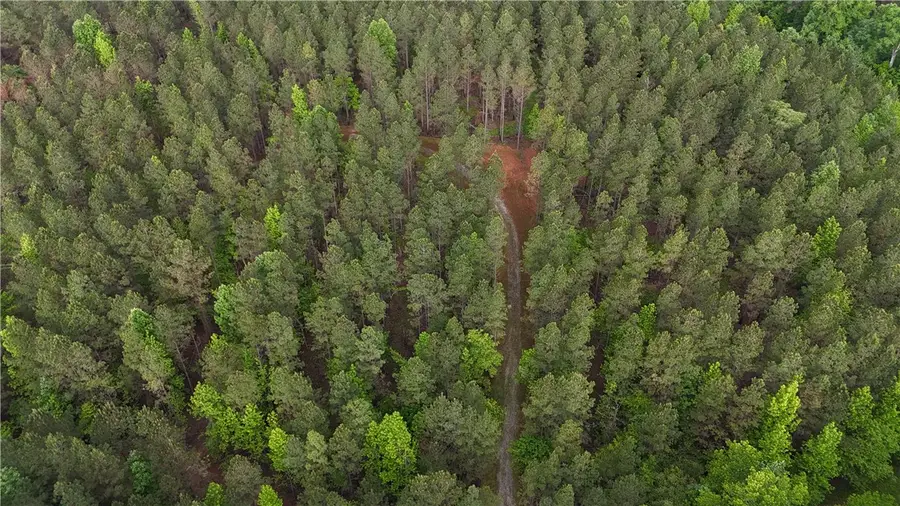 0 County Road 278, Five Points, AL 36855 - Image #3