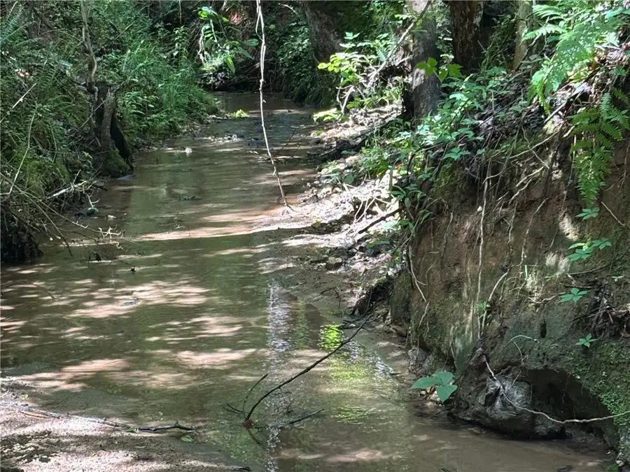 0 County Road 85, Lanett, AL 36863 - Image #2