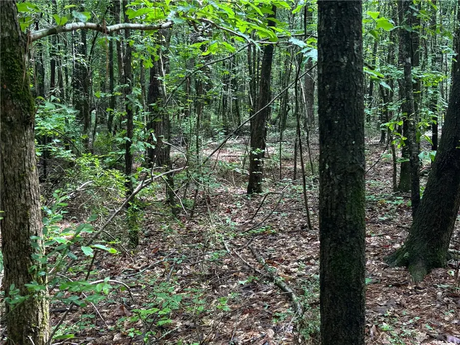 0 County Road 85, Lanett, AL 36863 - Image #3