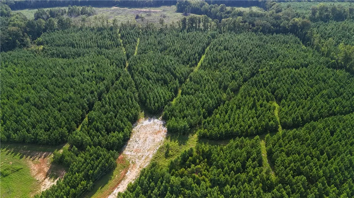 0 Berry Lane, Dadeville, AL 36853 - Image #1