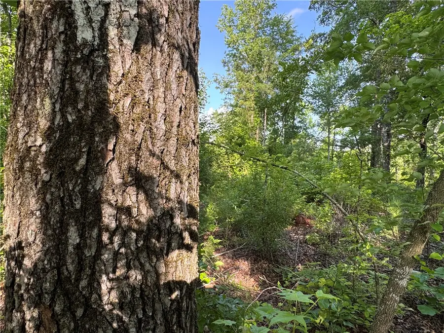 0 Trimble Road, Camp Hill, AL 36850 - Image #2