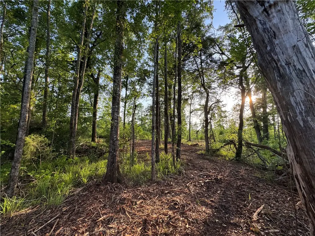 0 Tallapoosa Road, Camp Hill, AL 36850 - Image #1