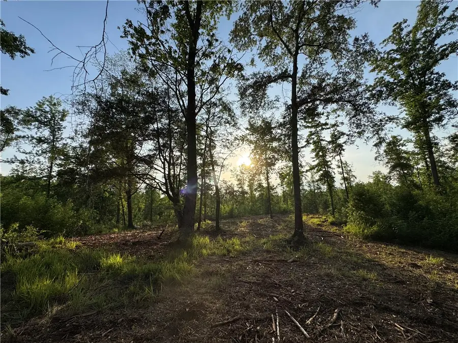 0 Tallapoosa Road, Camp Hill, AL 36850 - Image #2