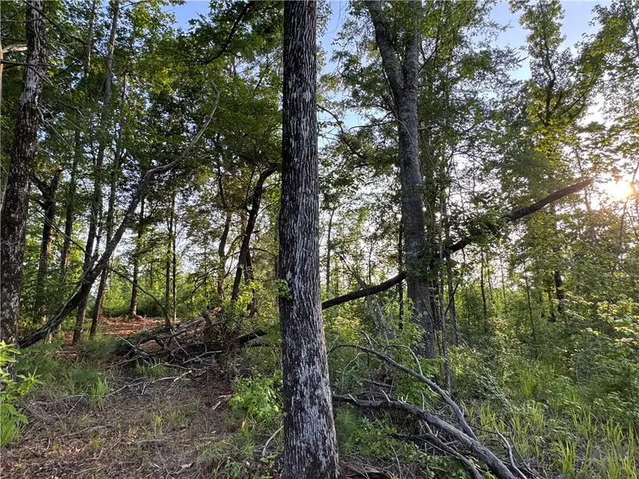 0 Tallapoosa Road, Camp Hill, AL 36850 - Image #3