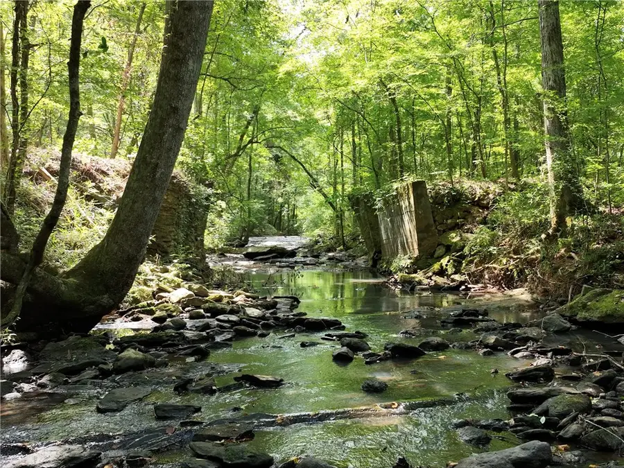 0 Bud Black Road, Loachapoka Roxana, AL 36380 - Image #2