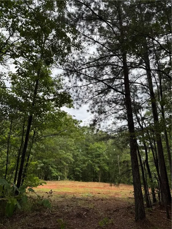 0 State Hwy 188, Waverly, AL 36879 - Image #1