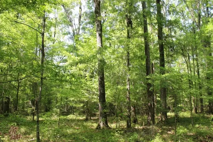 Address Withheld By Seller, Montgomery, AL 36117 - Image #3