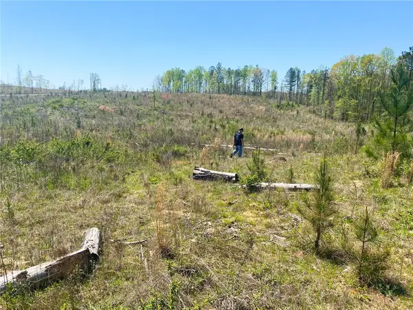 3217 Lee Road 334, Salem, AL 36874