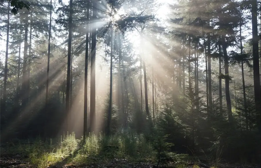 4505 Old Village Way, Auburn, AL 36830 - Image #2