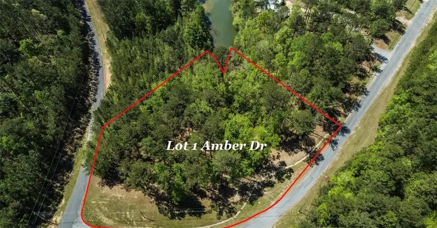 Lot 1 and 2 Amber Drive, Jacksons Gap, AL 36861 - Image #3