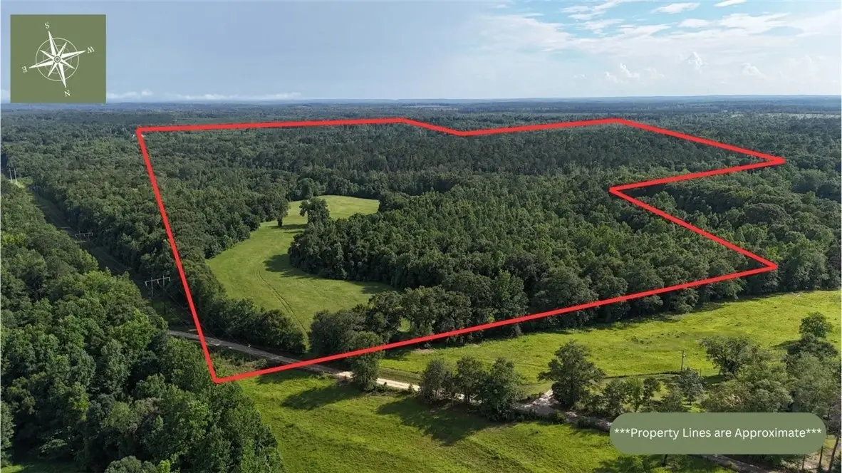 260 County Road 14, Union Springs, AL 36089 - Image #1