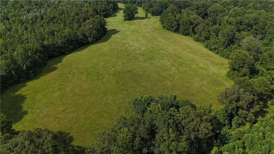 260 County Road 14, Union Springs, AL 36089 - Image #3