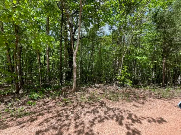 0 Lee Road 72, Waverly, AL 36879