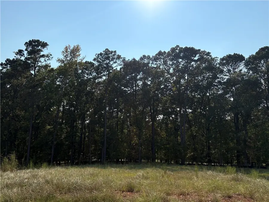 348 Eagle Ridge Lane, Dadeville, AL 36853 - Image #3