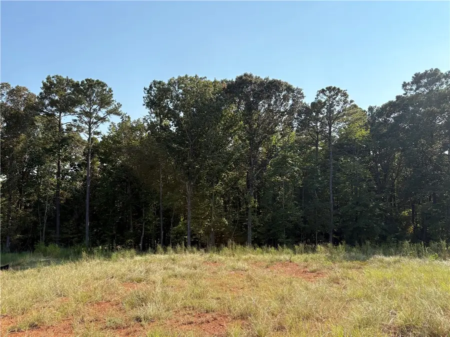 356 Eagle Ridge Lane, Dadeville, AL 36853 - Image #3