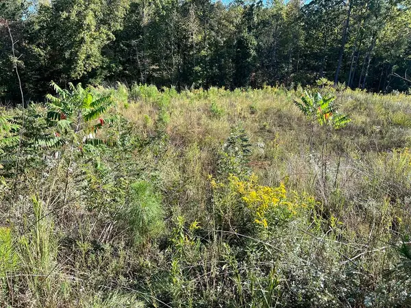 0 0 Lee Road 2192, Cusseta, AL 36852