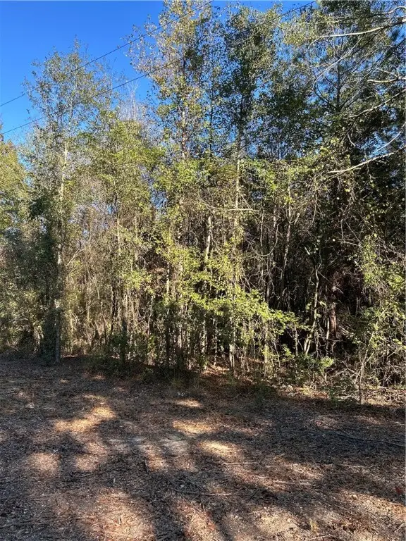 0 Lee Road 004, Auburn, AL 36832 - Image #1