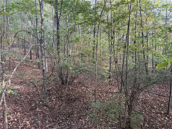 0 County Road 118, Rockford, AL 35136