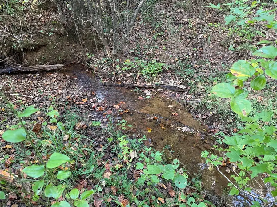 0 County Road 118, Rockford, AL 35136 - Image #3