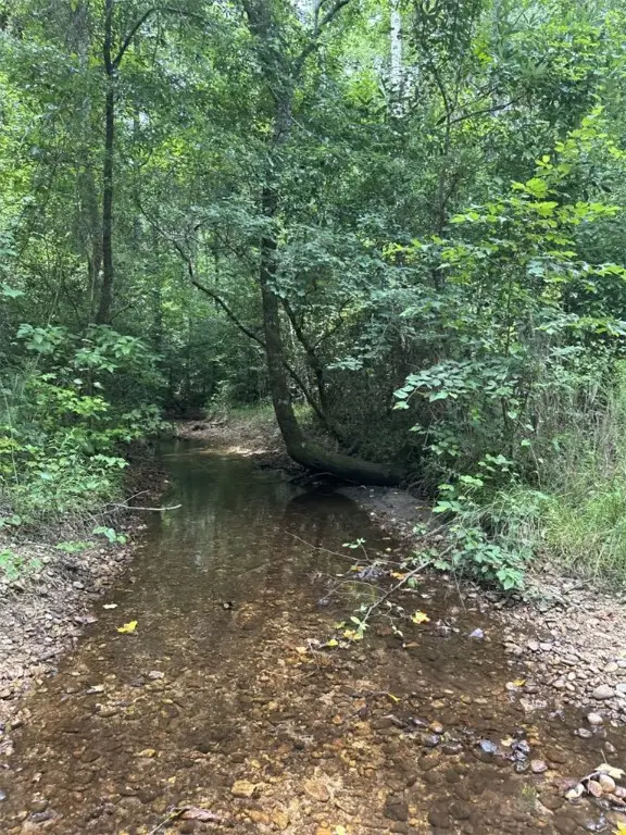 0 Lee Road 126, Opelika, AL 36804 - Image #3