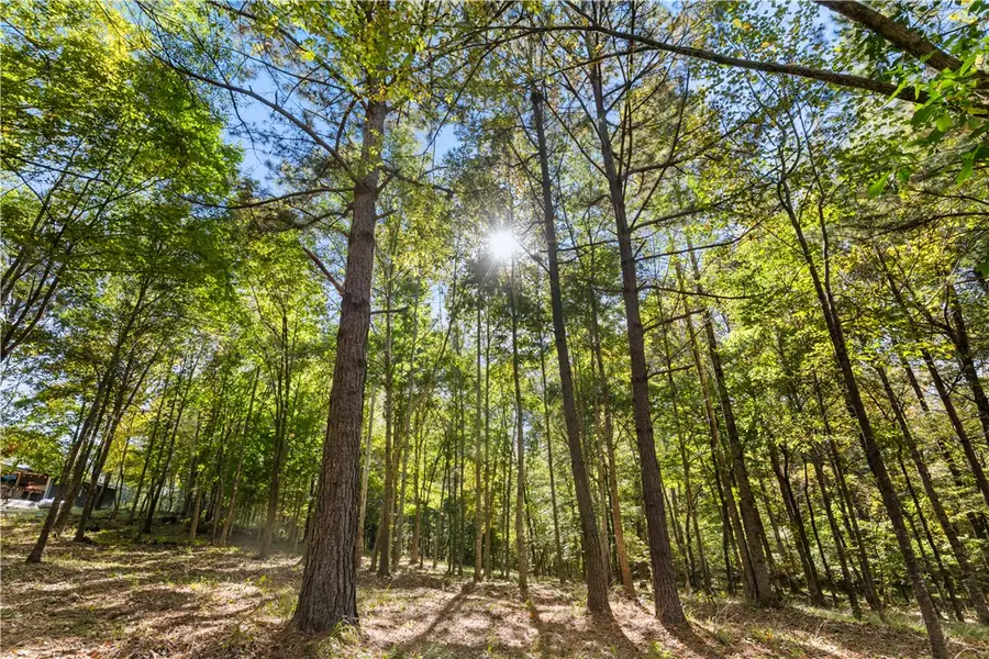 4240 Highway 49, Dadeville, AL 36853 - Image #3